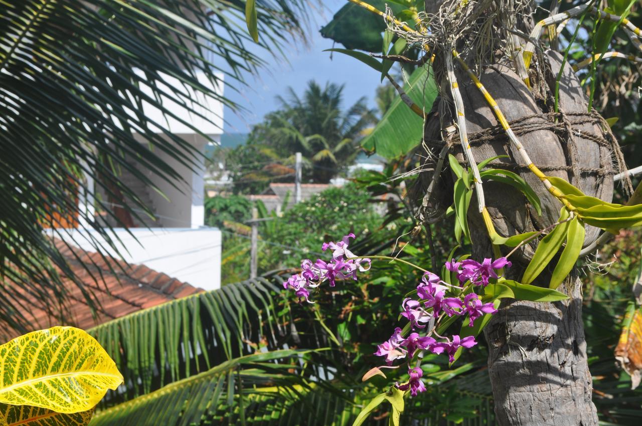Bentota Orchid House Bed and Breakfast Εξωτερικό φωτογραφία