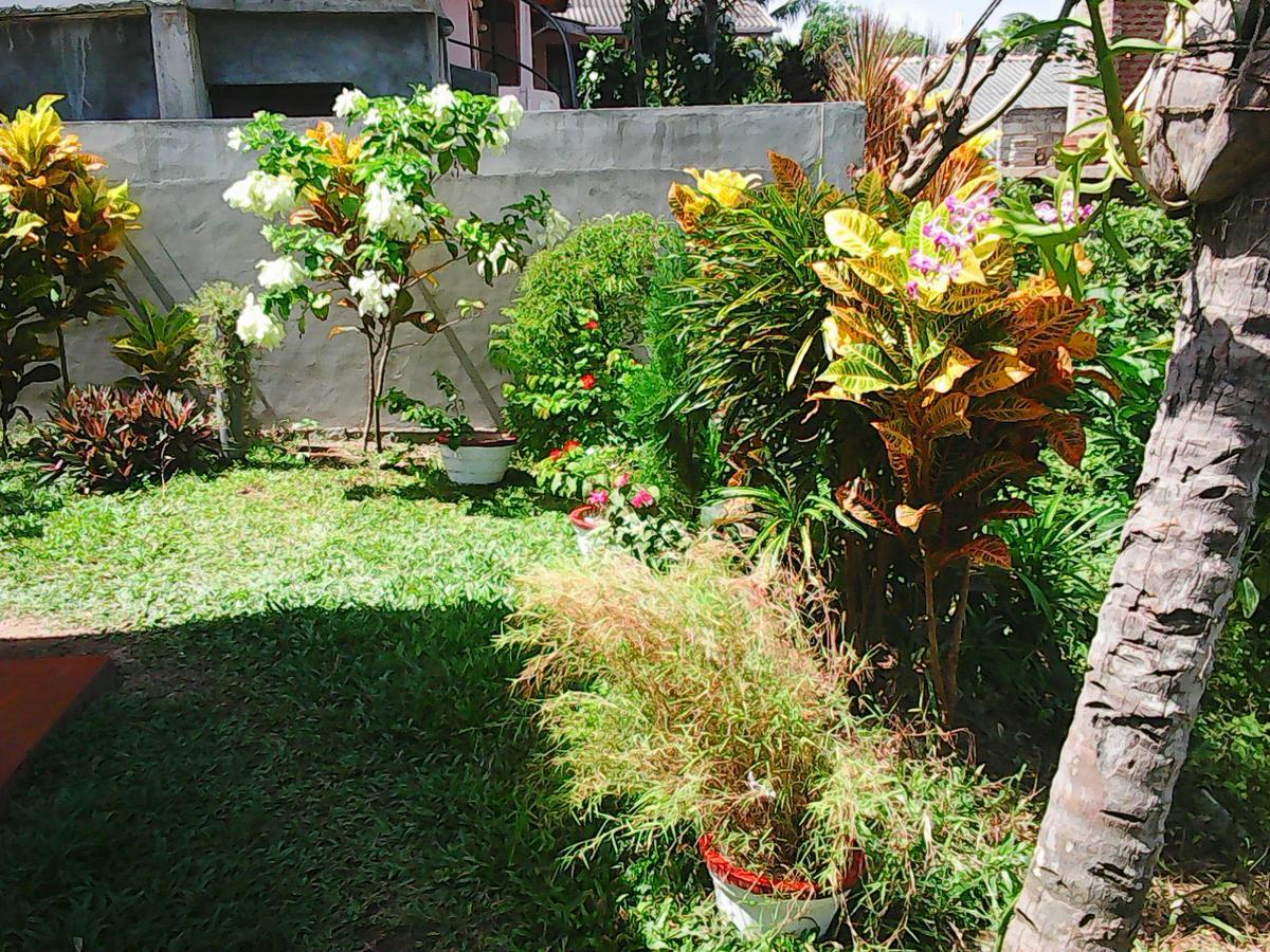 Bentota Orchid House Bed and Breakfast Εξωτερικό φωτογραφία