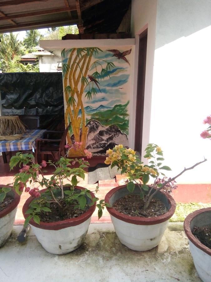 Bentota Orchid House Bed and Breakfast Εξωτερικό φωτογραφία