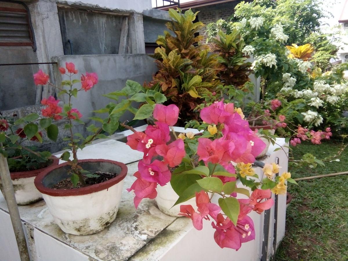 Bentota Orchid House Bed and Breakfast Εξωτερικό φωτογραφία